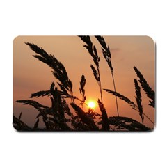 Sunset Small Door Mat by Siebenhuehner