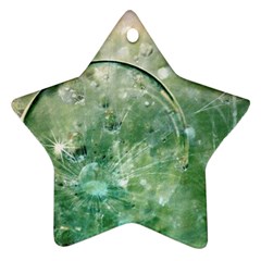 Dreamland Star Ornament by Siebenhuehner