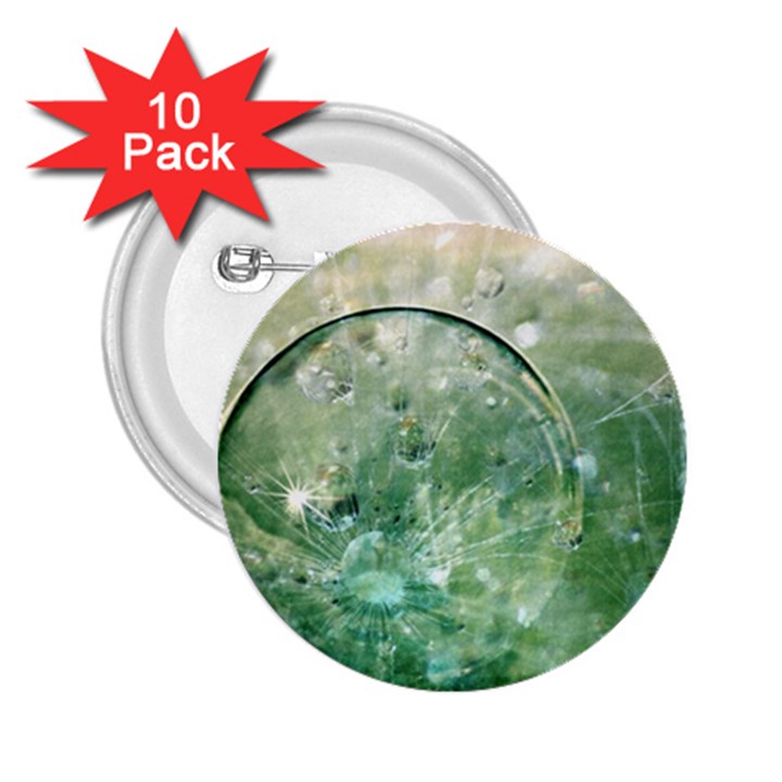 Dreamland 2.25  Button (10 pack)