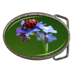 Good Luck Belt Buckle (oval) by Siebenhuehner