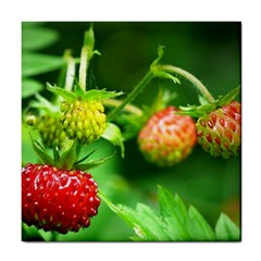 Strawberry  Ceramic Tile