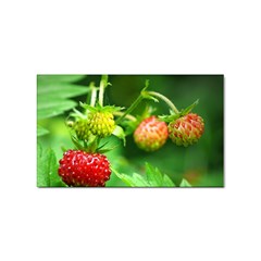 Strawberry  Sticker 100 Pack (rectangle)