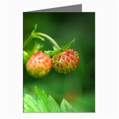 Strawberry  Greeting Card (8 Pack) by Siebenhuehner