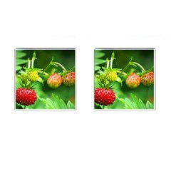 Strawberry  Cufflinks (square)