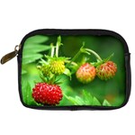 Strawberry  Digital Camera Leather Case Front