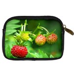 Strawberry  Digital Camera Leather Case Back