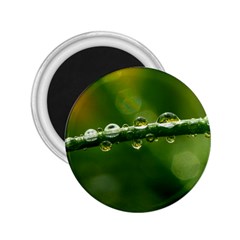 Waterdrops 2 25  Button Magnet by Siebenhuehner