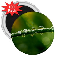 Waterdrops 3  Button Magnet (100 pack)