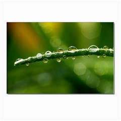 Waterdrops Postcards 5  X 7  (10 Pack) by Siebenhuehner