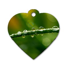 Waterdrops Dog Tag Heart (One Sided) 