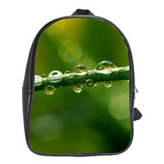 Waterdrops School Bag (XL)