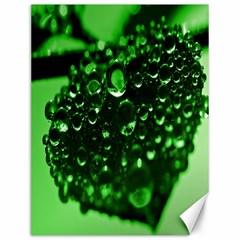 Waterdrops Canvas 12  X 16  (unframed) by Siebenhuehner