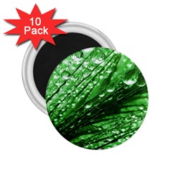 Waterdrops 2 25  Button Magnet (10 Pack) by Siebenhuehner