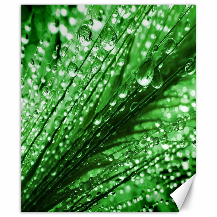 Waterdrops Canvas 8  x 10  (Unframed)