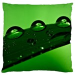 Waterdrops Large Cushion Case (Single Sided)  Front
