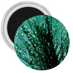 Waterdrops 3  Button Magnet by Siebenhuehner