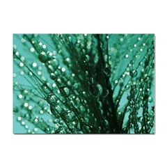 Waterdrops A4 Sticker 100 Pack by Siebenhuehner