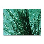 Waterdrops A4 Sticker 100 Pack Front