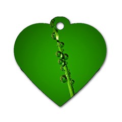 Waterdrops Dog Tag Heart (one Sided)  by Siebenhuehner