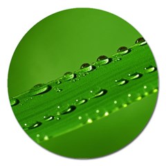 Waterdrops Magnet 5  (round) by Siebenhuehner