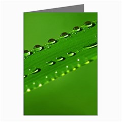 Waterdrops Greeting Card (8 Pack) by Siebenhuehner