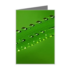 Waterdrops Mini Greeting Card by Siebenhuehner