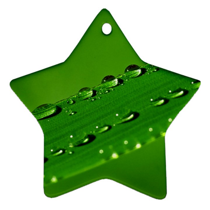 Waterdrops Star Ornament (Two Sides)