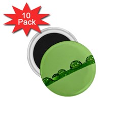 Waterdrops 1 75  Button Magnet (10 Pack)