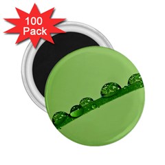 Waterdrops 2 25  Button Magnet (100 Pack)
