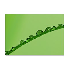 Waterdrops A4 Sticker 10 Pack