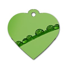 Waterdrops Dog Tag Heart (one Sided)  by Siebenhuehner