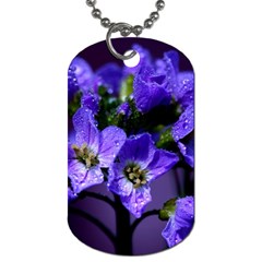 Cuckoo Flower Dog Tag (two-sided) 