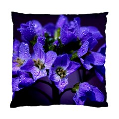 Cuckoo Flower Cushion Case (single Sided)  by Siebenhuehner