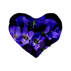 Cuckoo Flower 16  Premium Heart Shape Cushion 