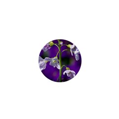 Cuckoo Flower 1  Mini Button by Siebenhuehner