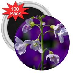 Cuckoo Flower 3  Button Magnet (100 Pack) by Siebenhuehner