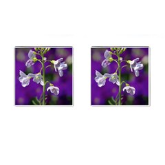 Cuckoo Flower Cufflinks (square) by Siebenhuehner