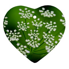 Queen Anne s Lace Heart Ornament by Siebenhuehner