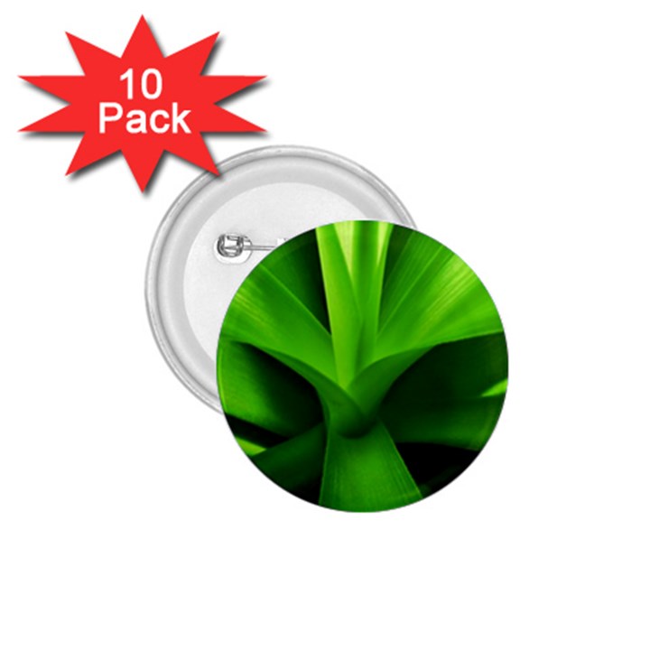 Yucca Palm  1.75  Button (10 pack)