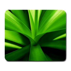 Yucca Palm  Large Mouse Pad (rectangle) by Siebenhuehner