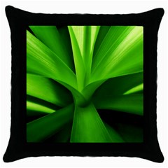 Yucca Palm  Black Throw Pillow Case