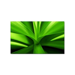 Yucca Palm  Sticker 100 Pack (rectangle)