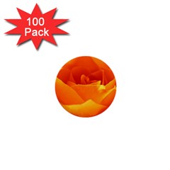 Rose 1  Mini Button (100 Pack) by Siebenhuehner