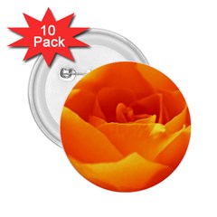 Rose 2 25  Button (10 Pack) by Siebenhuehner