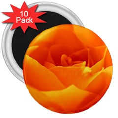 Rose 3  Button Magnet (10 Pack)