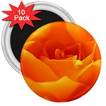 Rose 3  Button Magnet (10 pack) Front