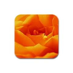 Rose Drink Coasters 4 Pack (square) by Siebenhuehner