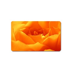 Rose Magnet (name Card) by Siebenhuehner