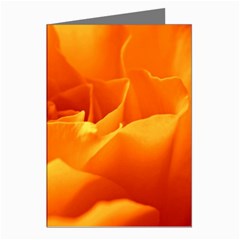 Rose Greeting Card (8 Pack) by Siebenhuehner