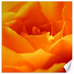 Rose Canvas 12  X 12  (unframed) by Siebenhuehner